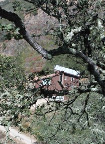 Hummingbird House through the trees